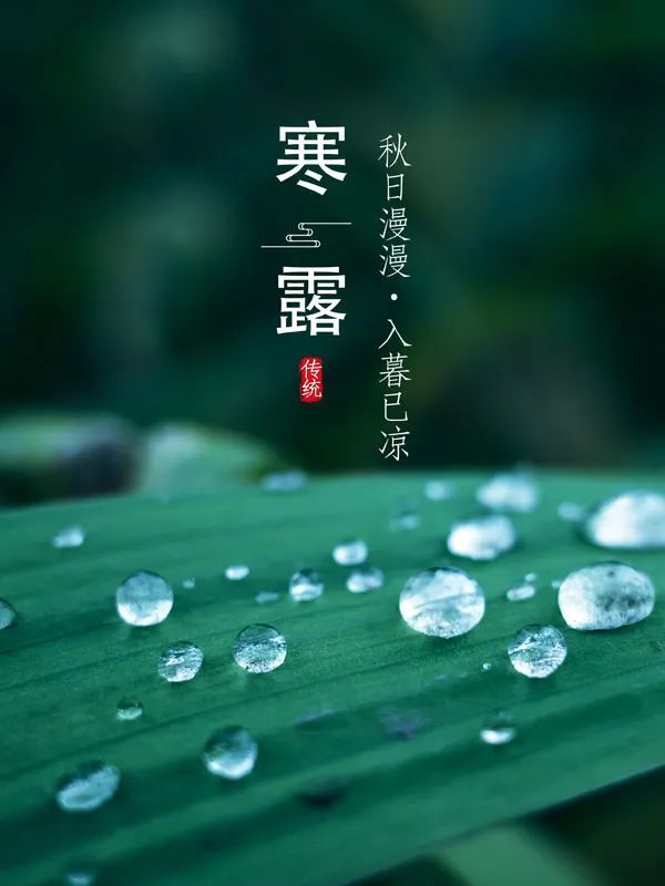 寒露，露似真珠月似弓