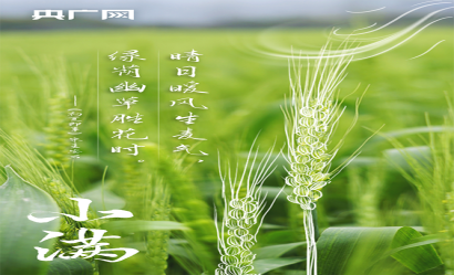 小滿｜人生最好是小滿，在詩(shī)詞中領(lǐng)略最美初夏！?